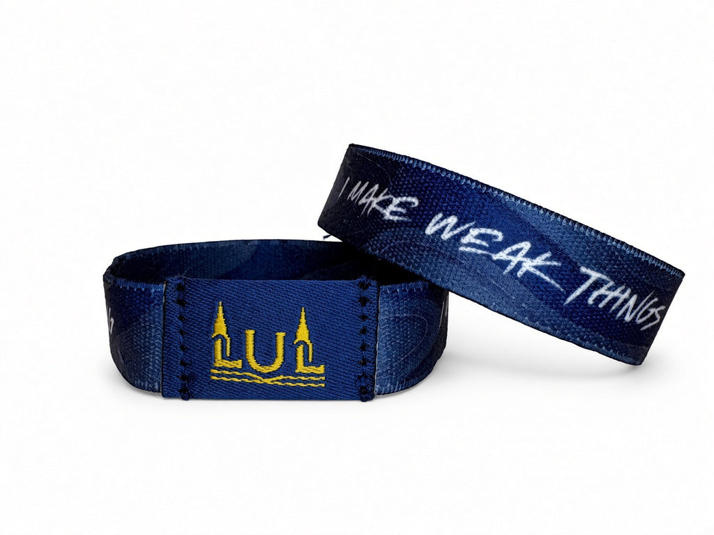 I Make Weak Things Become Strong (Blue Topography) (Medium/Large)